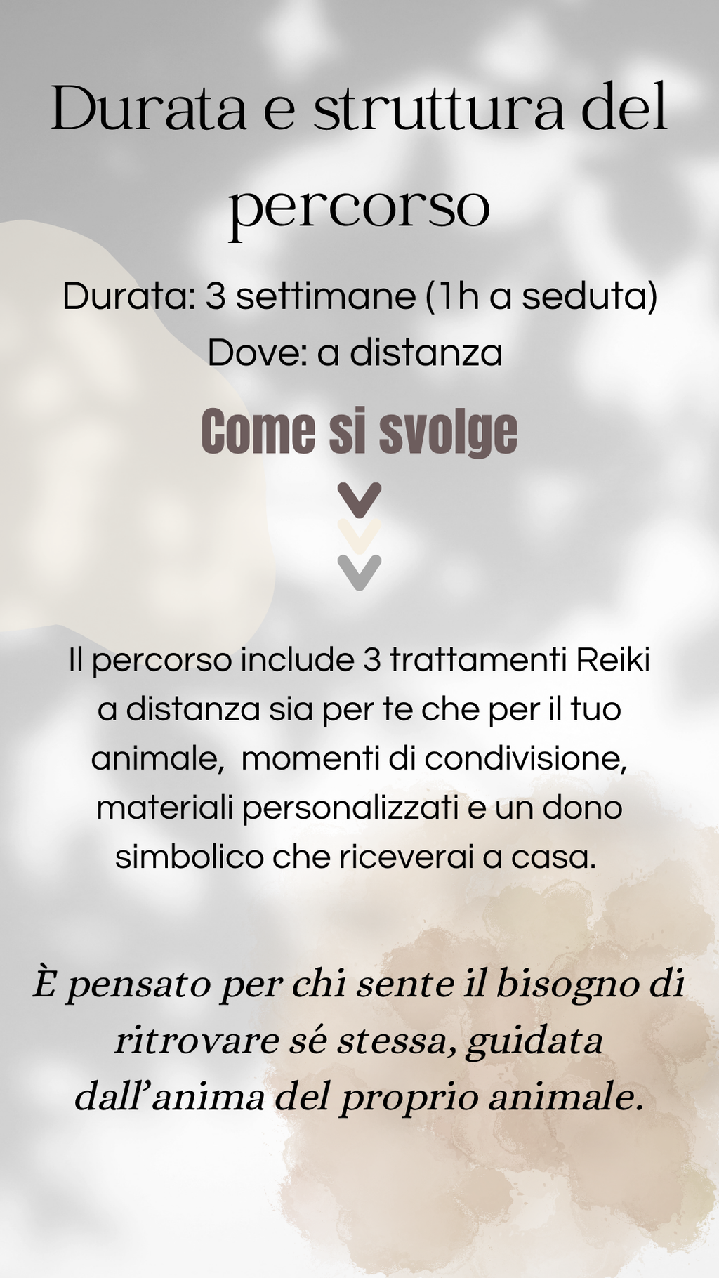 VIAGGIO ENERGETICO CON IL TUO ANIMALE